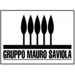 Gruppo Mauro Saviola