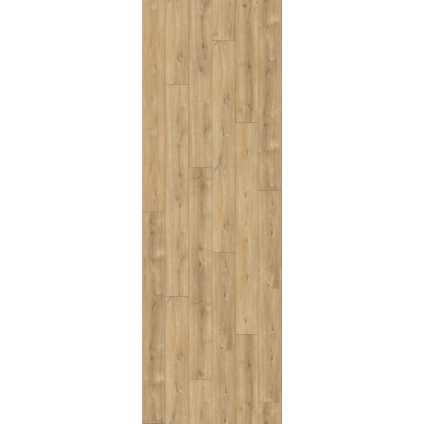 SUELO LAMINADO TRENDTIME 6 ROBLE NOVA CALIZO - 1567468- 2200 x 243 x 9 mm (junta en V a 4 lados) 